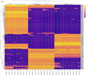 Taxonomic and gene expression data captures the relative abundance of ortholog groups (KO numbers) heat map from 3 donors at 9 time points.