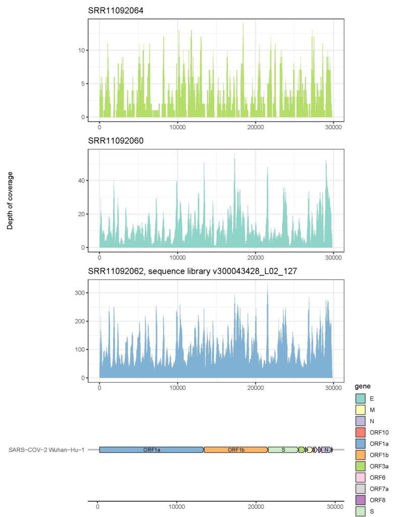 Plot of genome coverage of SARS-CoV-2 using Diversigen’s viral classification pipeline to analyse cDNA libraries sequenced at variable depths.